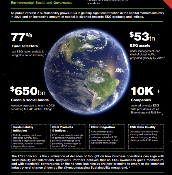 ESG considerations in capital markets