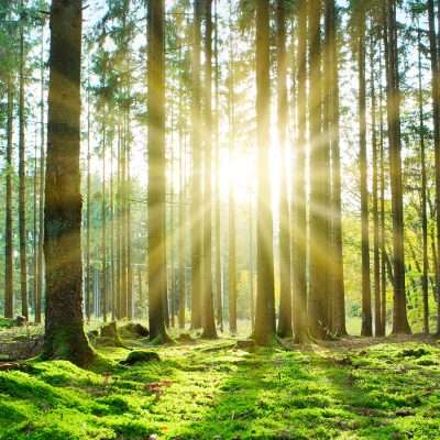 Trends in ESG Technology 2024